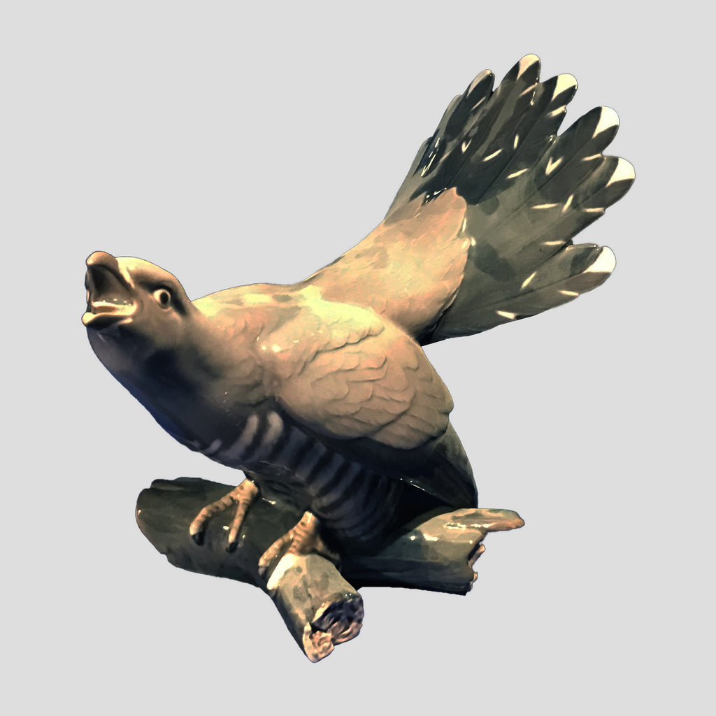Cuckoo
